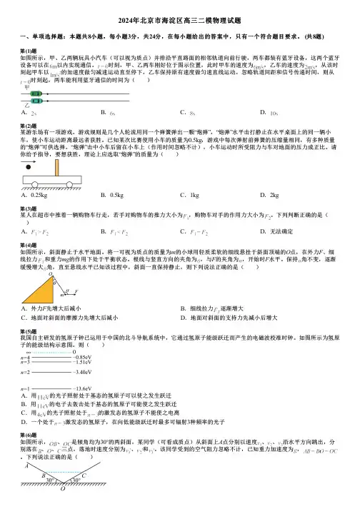 2024年北京市海淀区高三二模物理试题