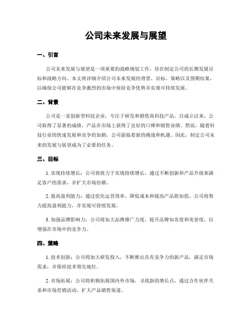 公司未来发展与展望