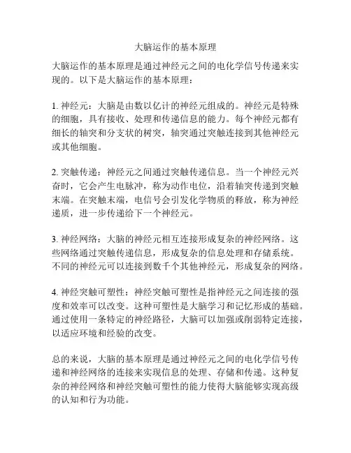 大脑运作的基本原理
