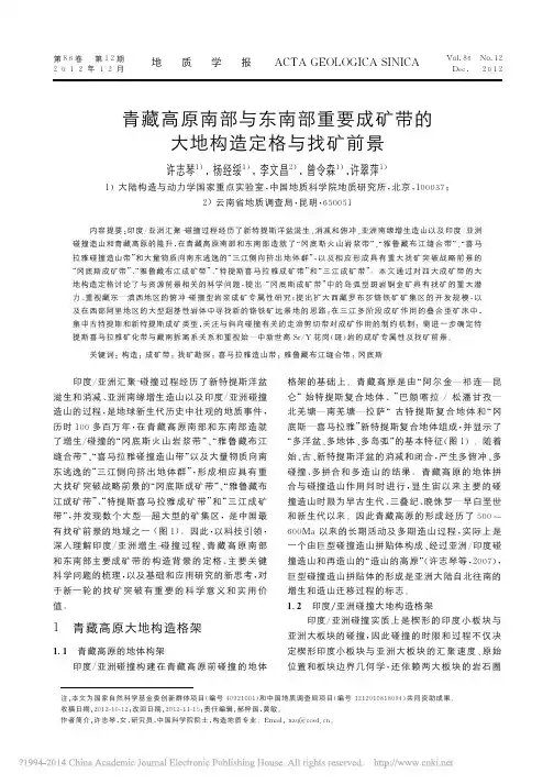 青藏高原南部与东南部重要成矿带的大地构造定格与找矿前景