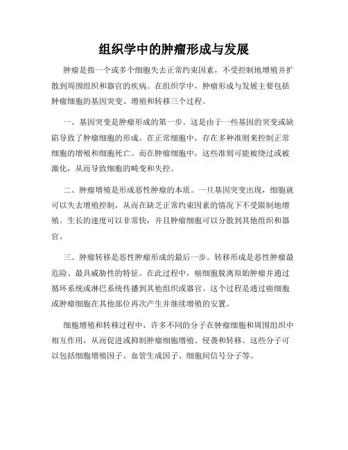 组织学中的肿瘤形成与发展