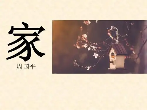 《家》PPT实用课件11