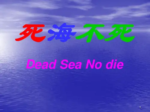 《死海不死》PPT演示课件