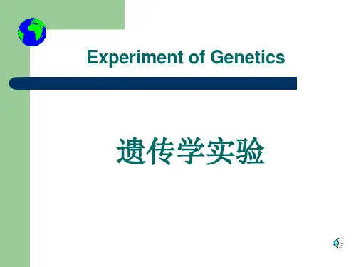 实验五   植物染色体的核型分析