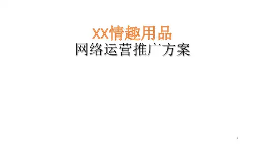 情趣用品网络运营推广方案ppt课件
