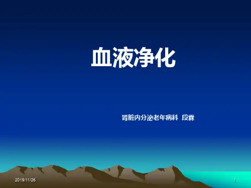 血液净化PPT课件