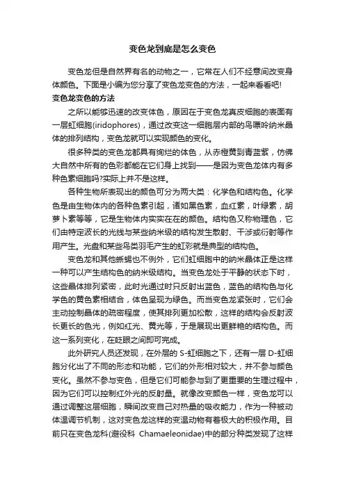 变色龙到底是怎么变色