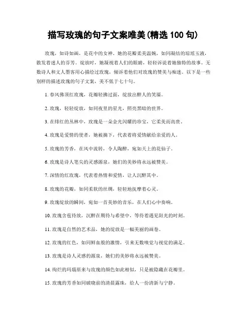 描写玫瑰的句子文案唯美(精选100句)