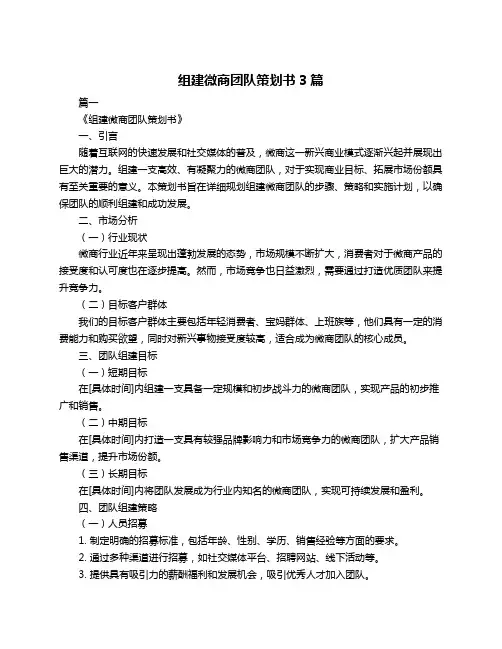 组建微商团队策划书3篇