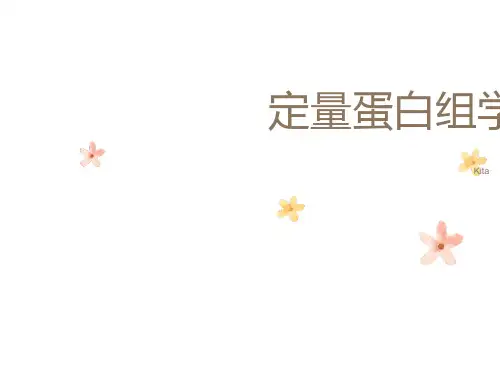 定量蛋白组学-百替生物