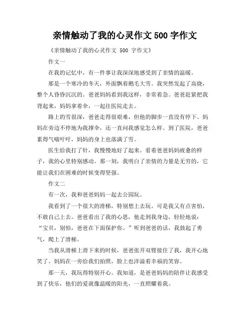 亲情触动了我的心灵作文500字作文