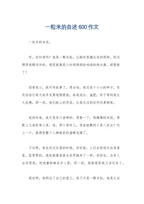 一粒米的自述600作文