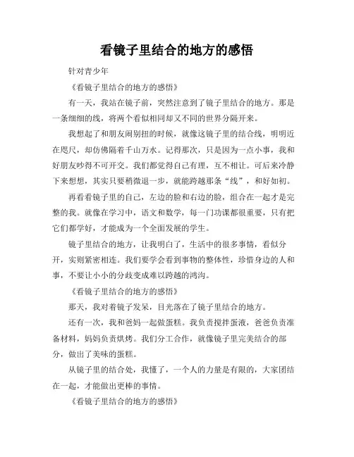 看镜子里结合的地方的感悟