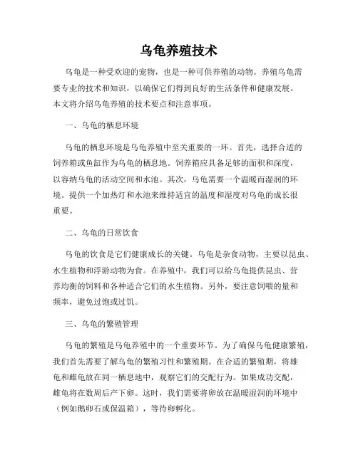 乌龟养殖技术