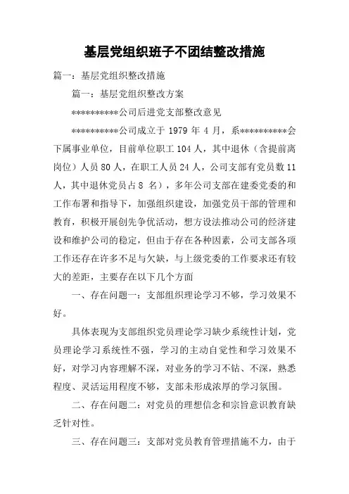 基层党组织班子不团结整改措施