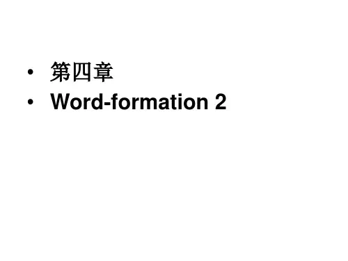 现代英语词汇学概论chapter4