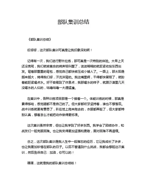 部队集训总结