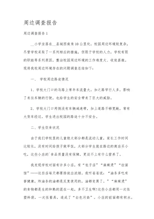 周边调查报告