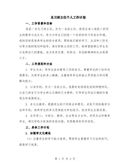 见习班主任个人工作计划