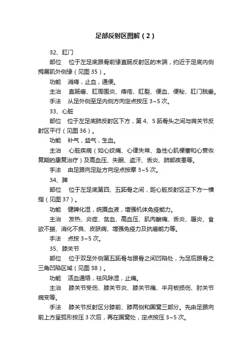 足部反射区图解（2）