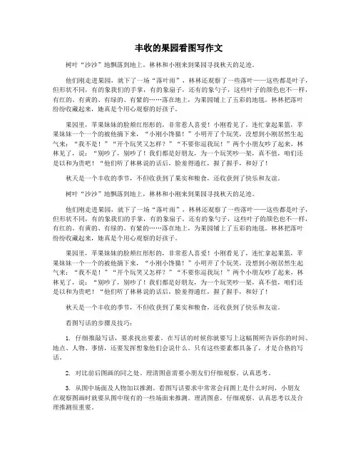 丰收的果园看图写作文
