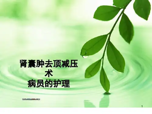 肾囊肿去顶减压术病人的护理ppt课件