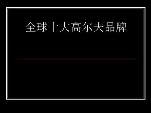 全球十大高尔夫品牌概述(PPT38张)