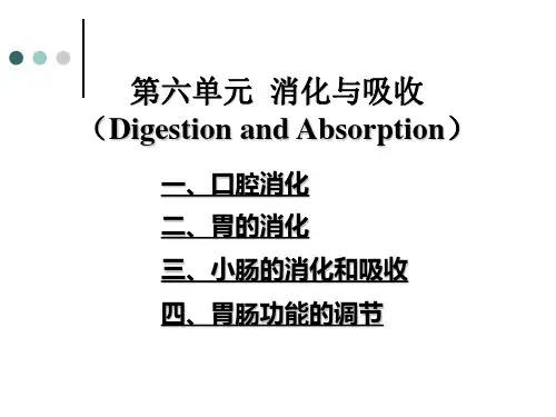 执业兽医资格考试生理学第六单元 消化与吸收 【digestion and absorption】