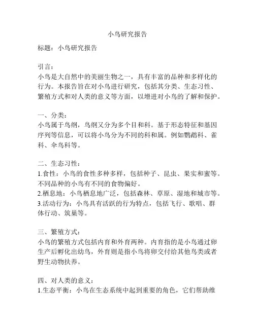 小鸟研究报告