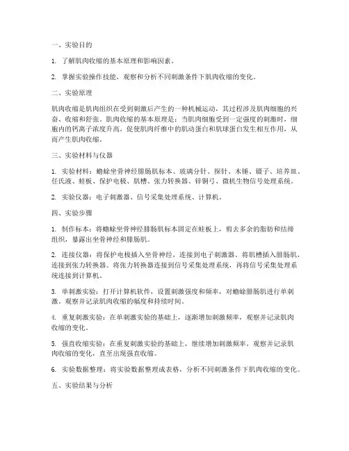 肌肉收缩_实验报告