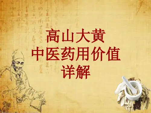 中药学_高山大黄_药材详解课件模板