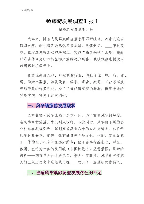 镇旅游发展调查汇报1（参考）