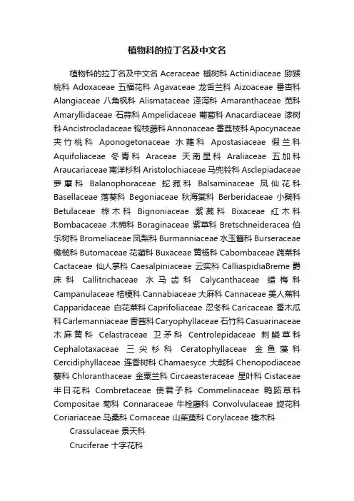 植物科的拉丁名及中文名