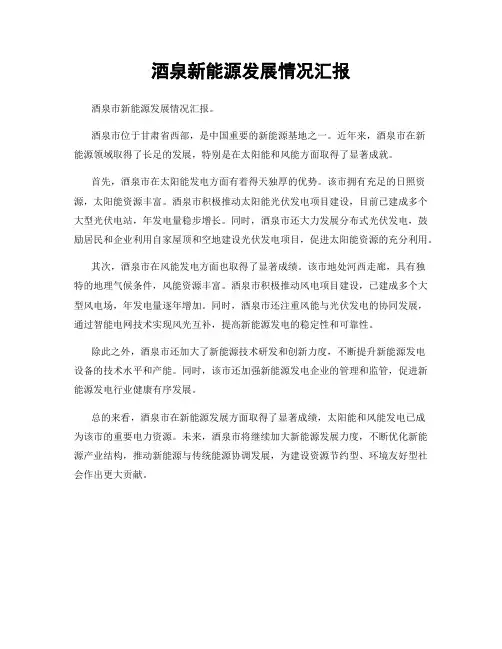 酒泉新能源发展情况汇报