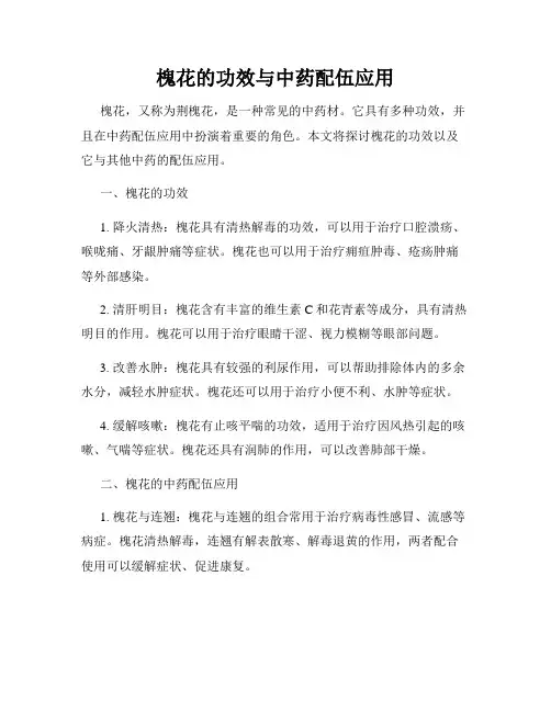 槐花的功效与中药配伍应用