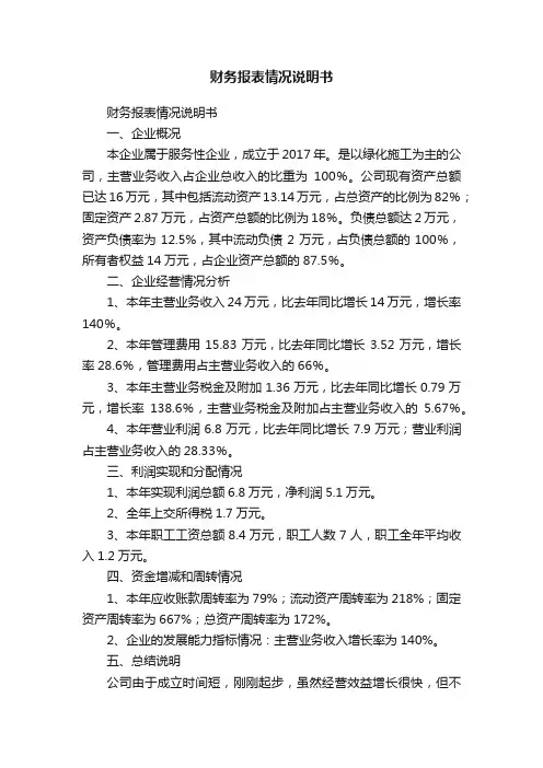 财务报表情况说明书