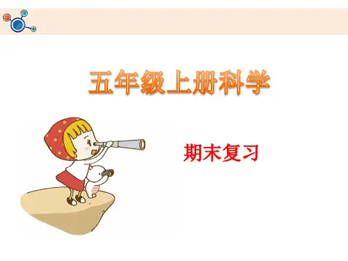 五年级上册科学课件-知识点与复习题 科教版(共19张PPT)
