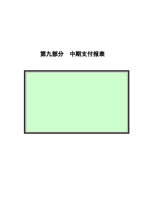 第九部分  中期支付报表