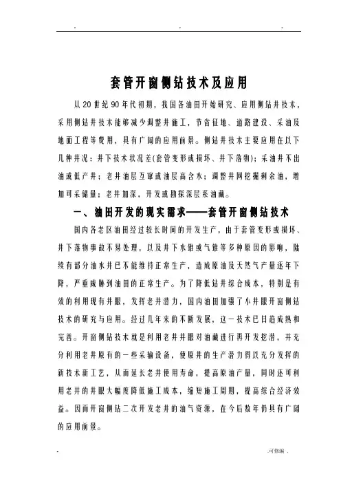 套管开窗侧钻技术及应用