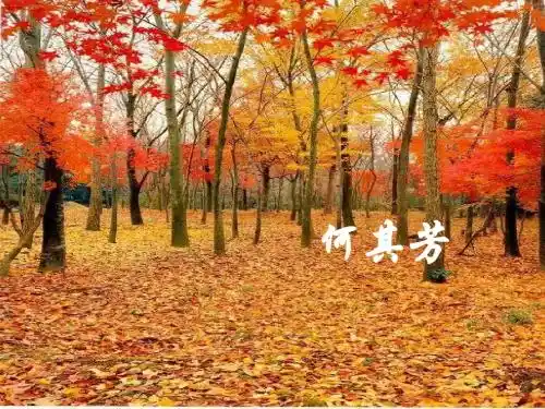 初中语文《秋天》(共26张)ppt132