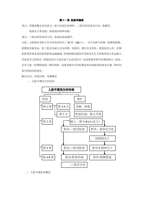 人体胚胎发生总论