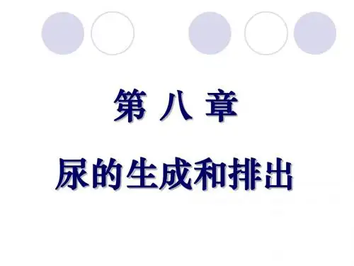 第八章尿的生成和排出