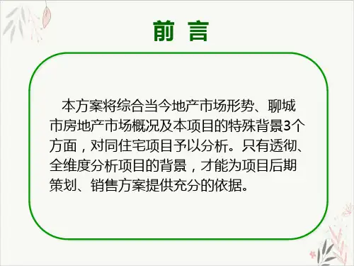 通亚集团聊城市房地产市场调查PPT.