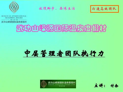 中层管理团队执行力