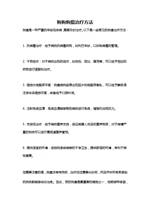 狗狗狗瘟治疗方法