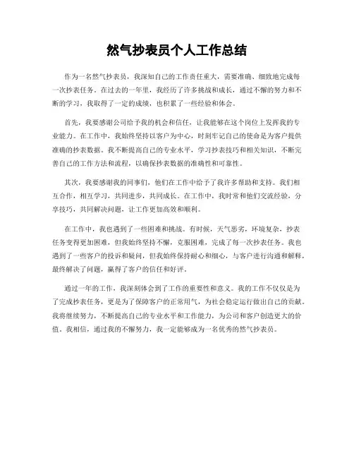 然气抄表员个人工作总结