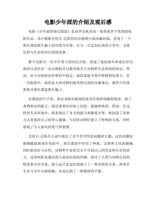 电影少年派的介绍及观后感