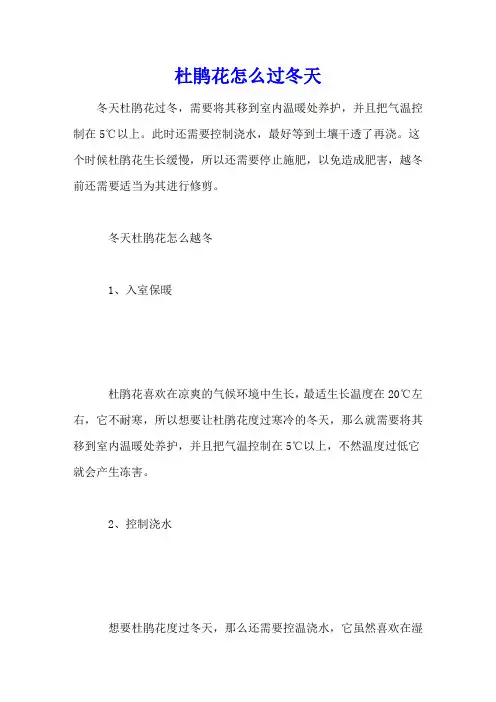 杜鹃花怎么过冬天
