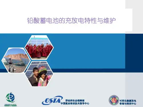 铅酸蓄电池的充放电特性与维护ppt课件