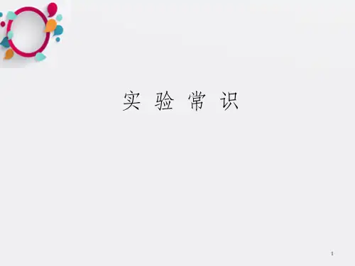 棱边有限元法的理论研究及其在电磁场数值计算中的应用 (开题报告